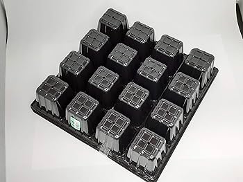 81p+6p0VdgL._UF350,350_QL80_.jpg